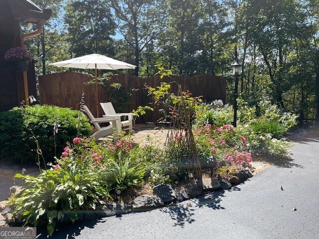 205 Minnehaha Trail Blue Ridge - Photo 6