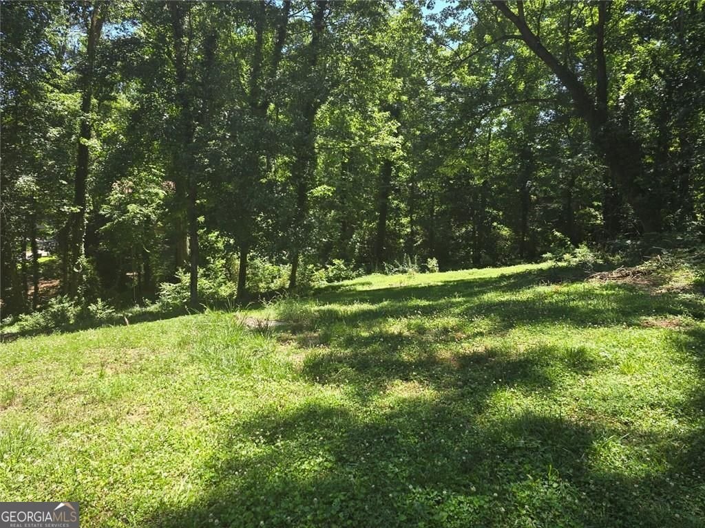 2826 Manor Court Snellville - Photo 41