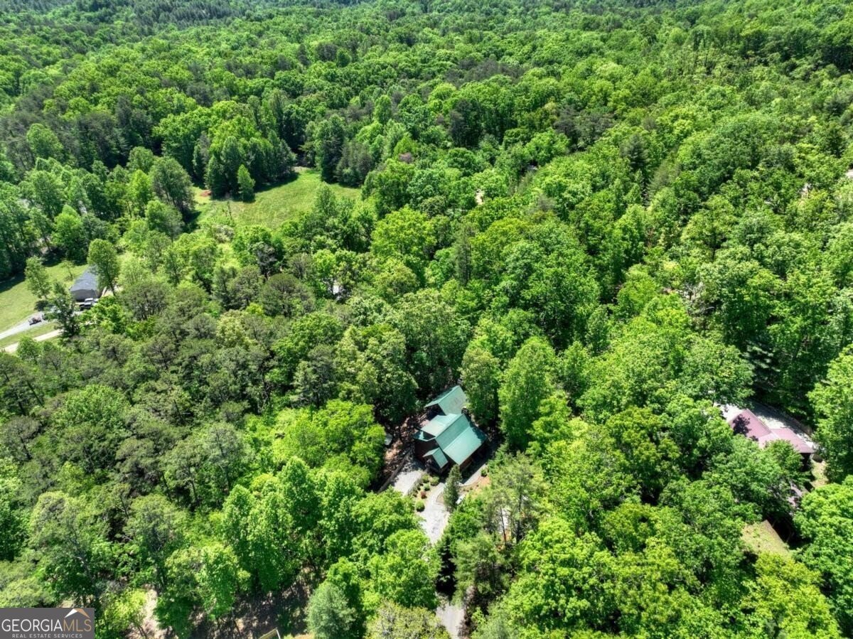101 Overlook Road Blue Ridge - Photo 102