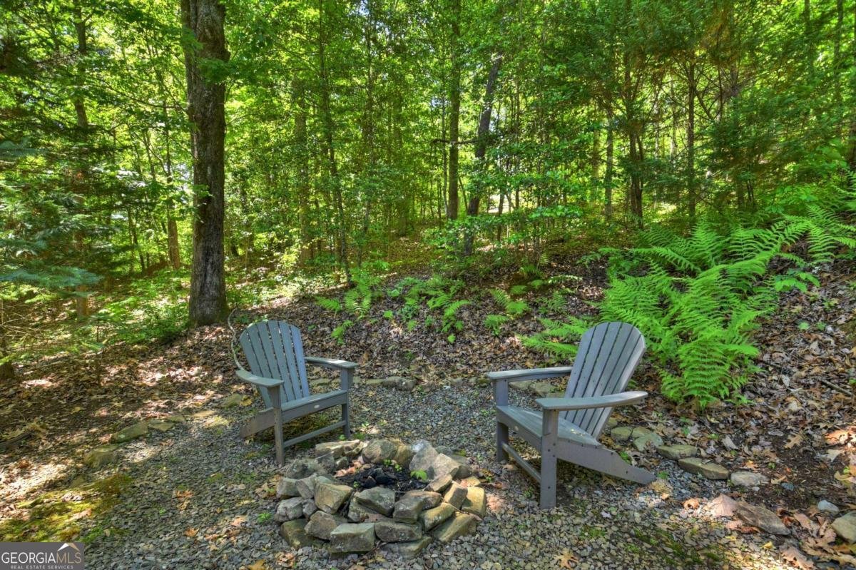 101 Overlook Road Blue Ridge - Photo 46