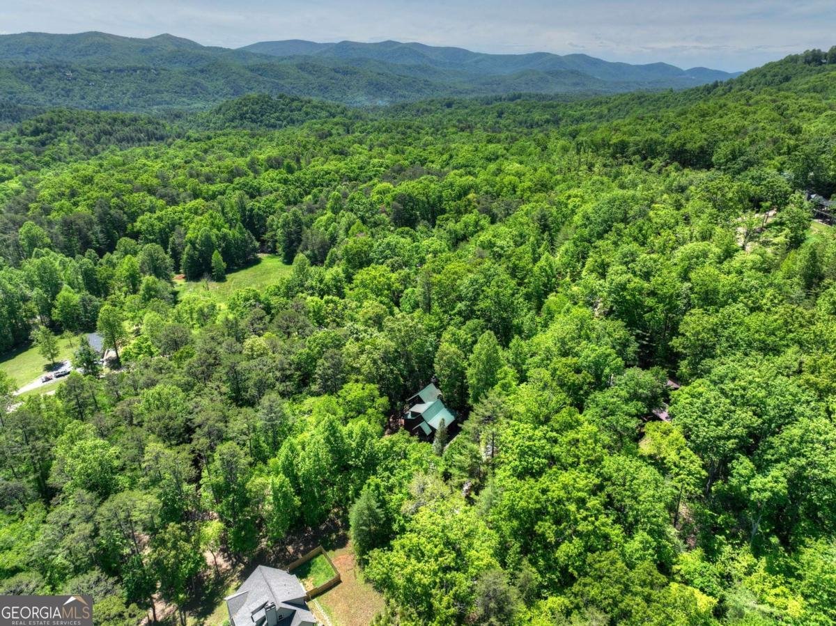 101 Overlook Road Blue Ridge - Photo 50