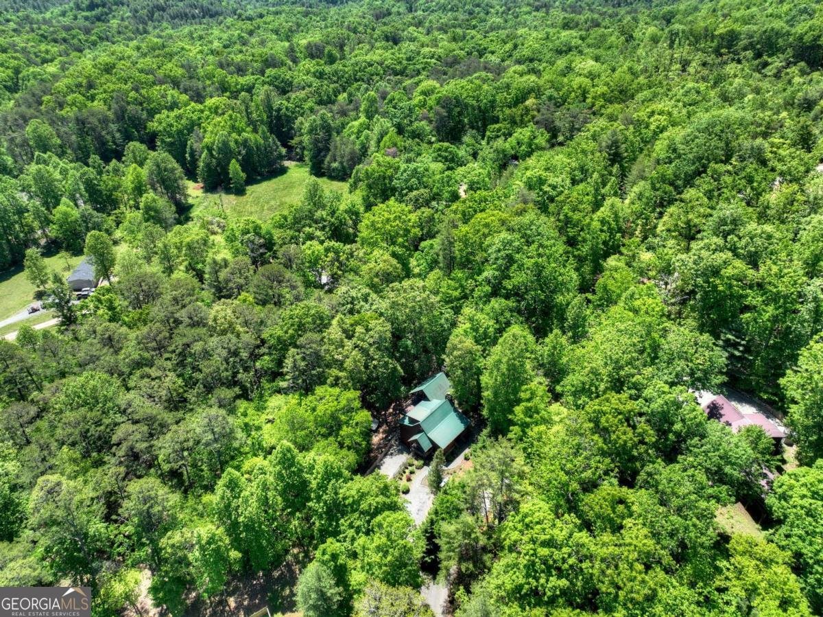 101 Overlook Road Blue Ridge - Photo 51