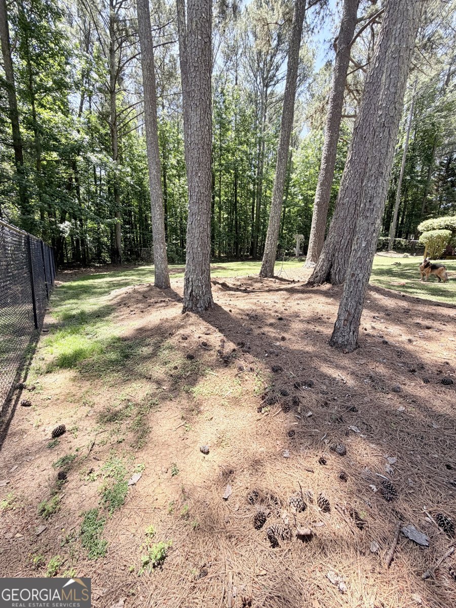 15 Briarwood Lane Newnan - Photo 20