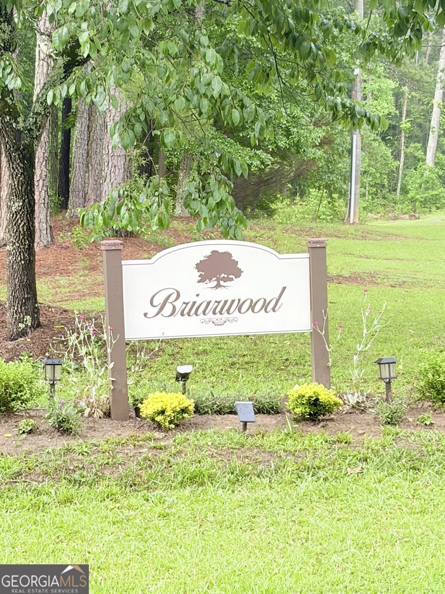 15 Briarwood Lane Newnan - Photo 57
