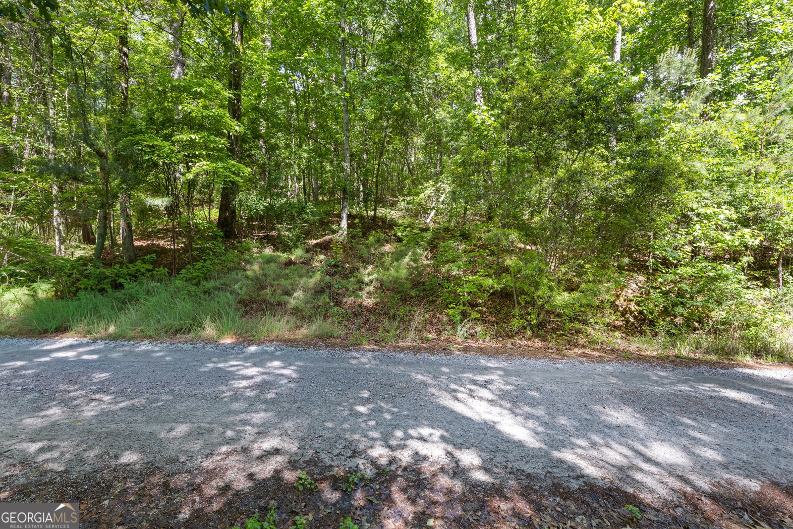 721 Rausch Ridge Chattahoochee Hills - Photo 17