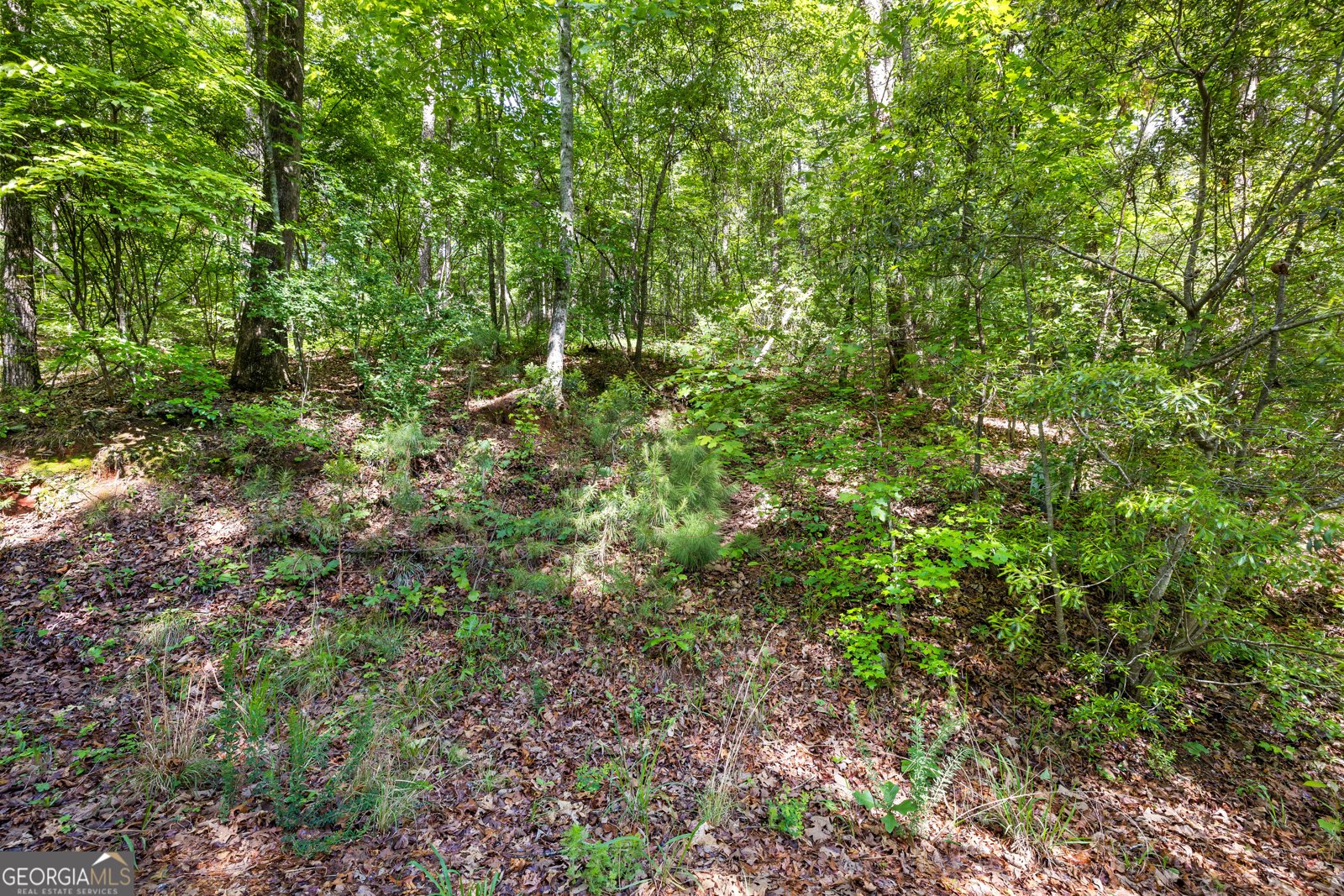 721 Rausch Ridge Chattahoochee Hills - Photo 18