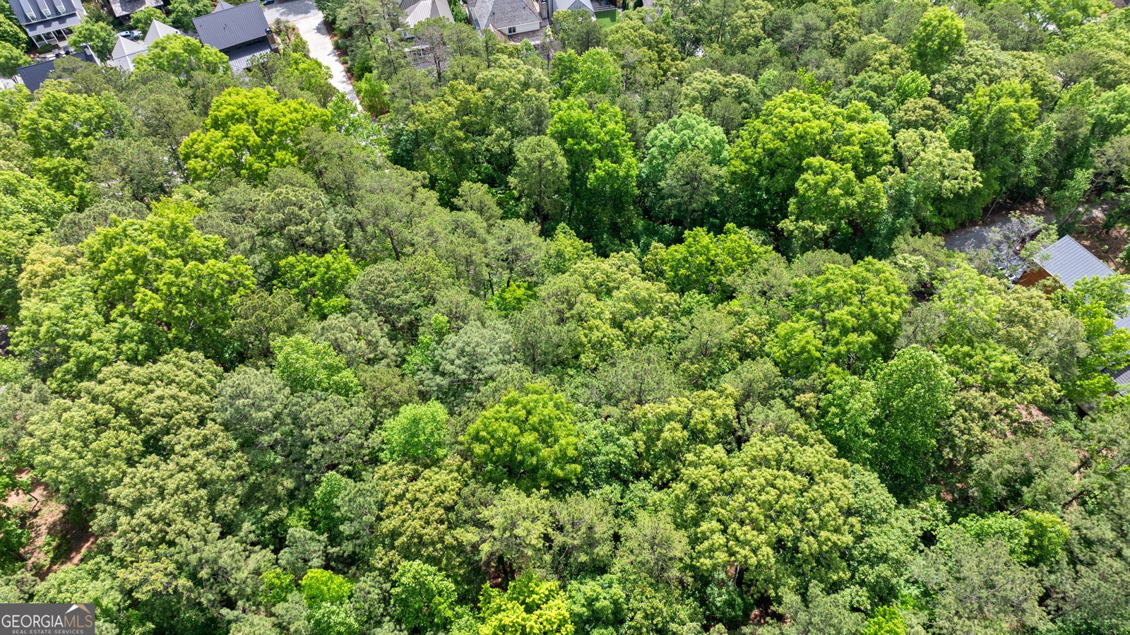 721 Rausch Ridge Chattahoochee Hills - Photo 6
