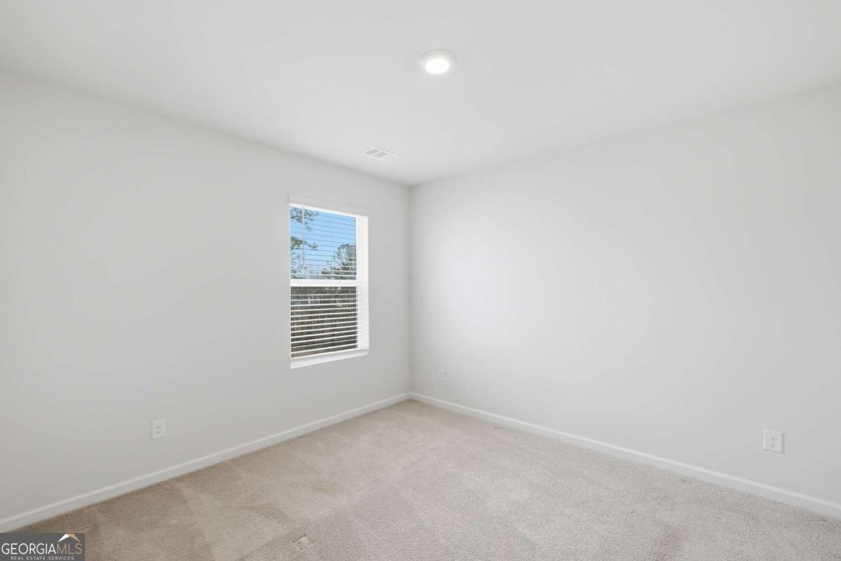 312 Etowah Parkway Dawsonville - Photo 46