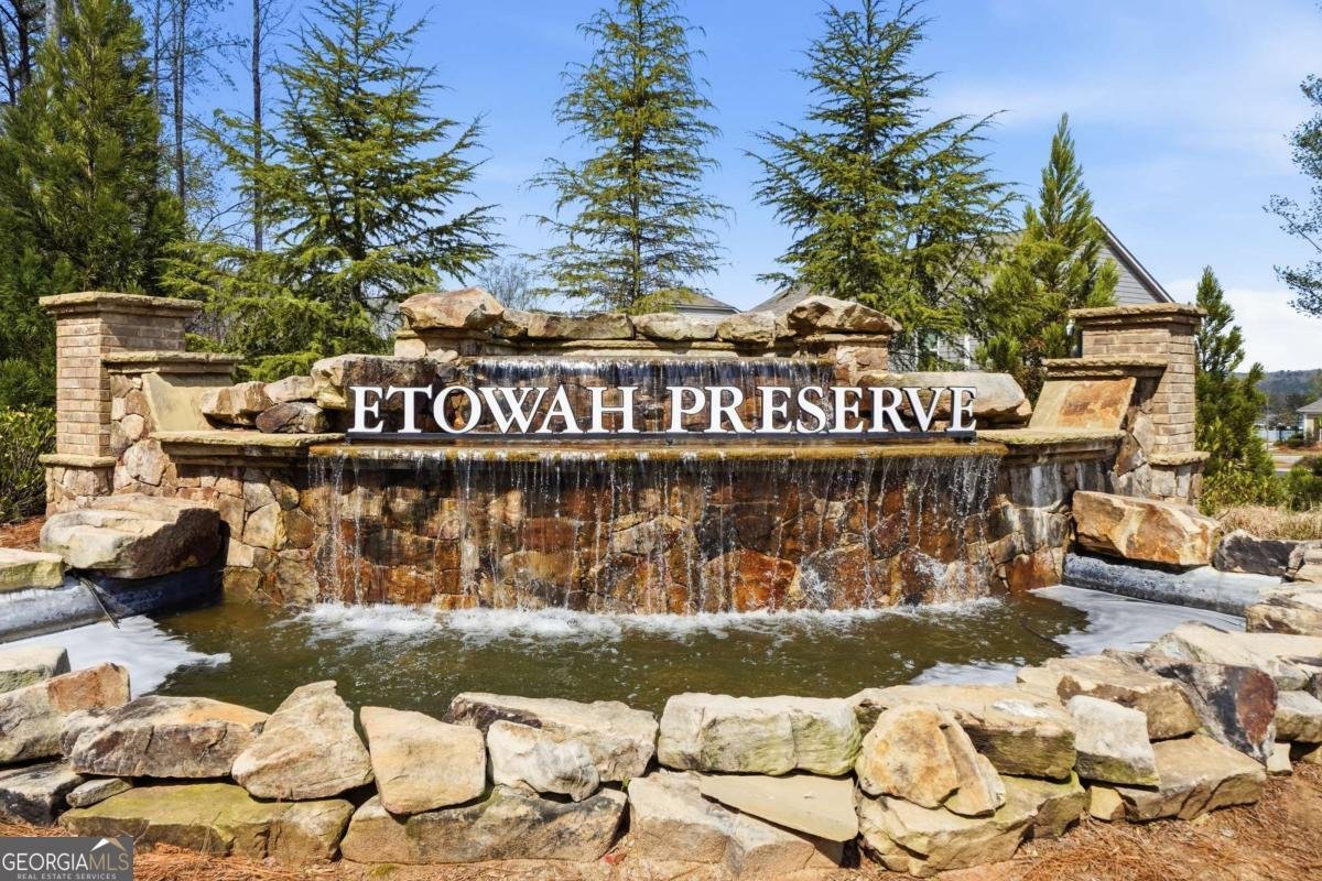312 Etowah Parkway Dawsonville - Photo 64