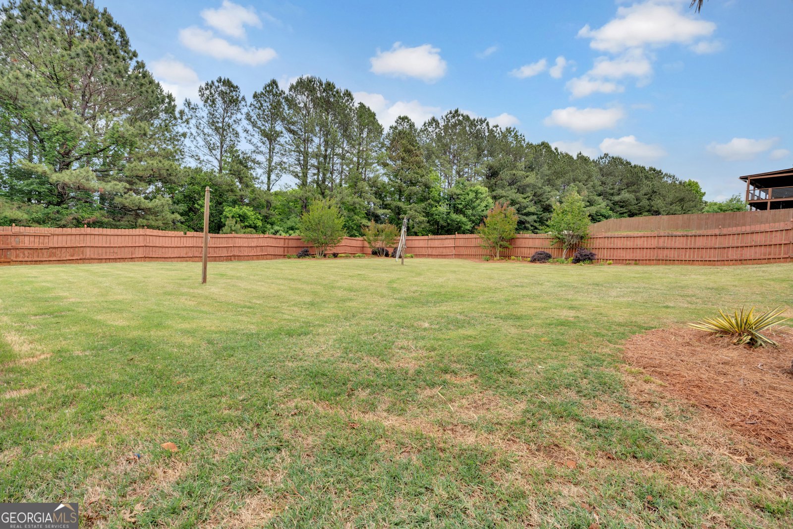 118 Big Cotton Trail McDonough - Photo 56
