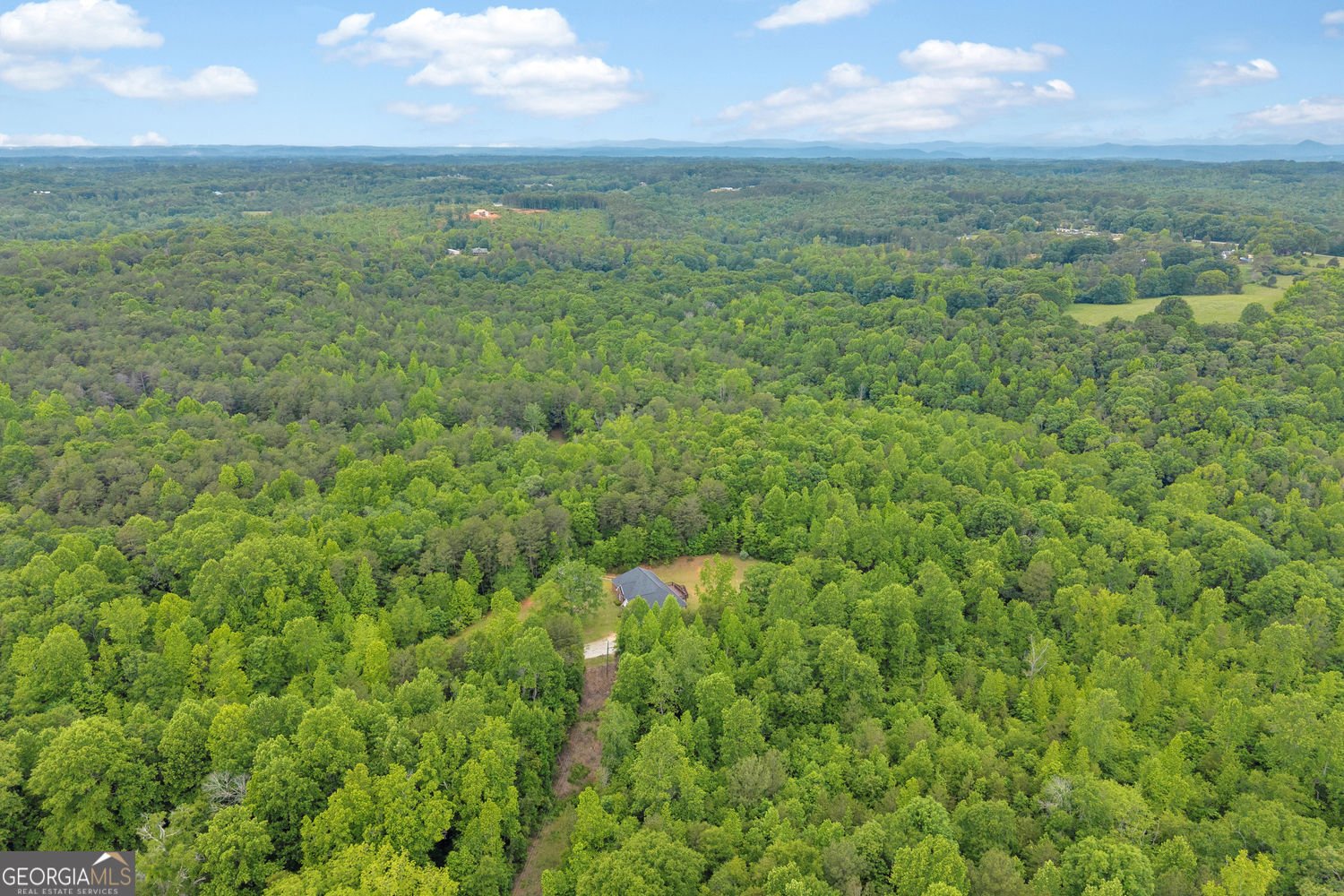 143 Pace Road Toccoa - Photo 51