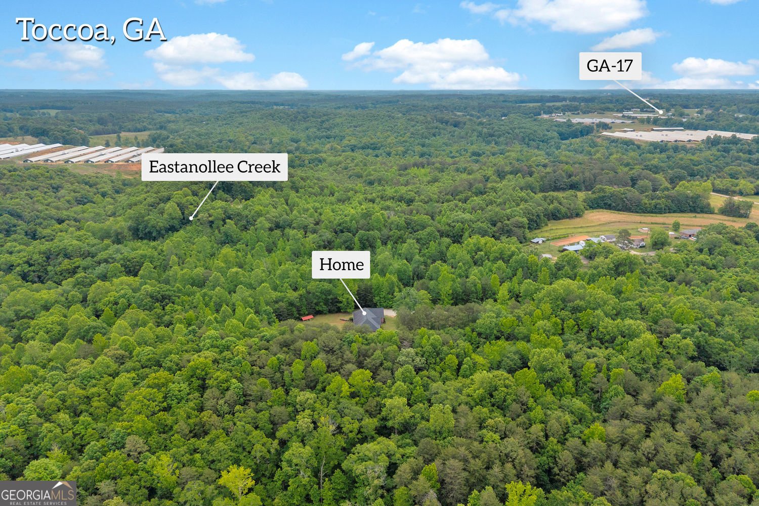 143 Pace Road Toccoa - Photo 58