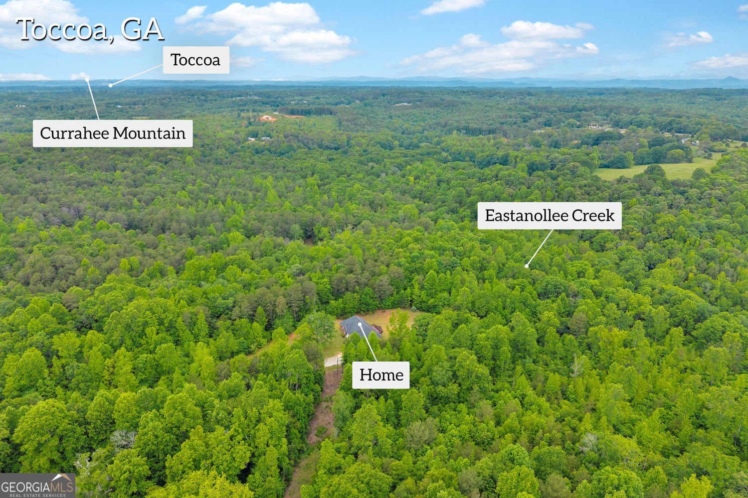 143 Pace Road Toccoa - Photo 59