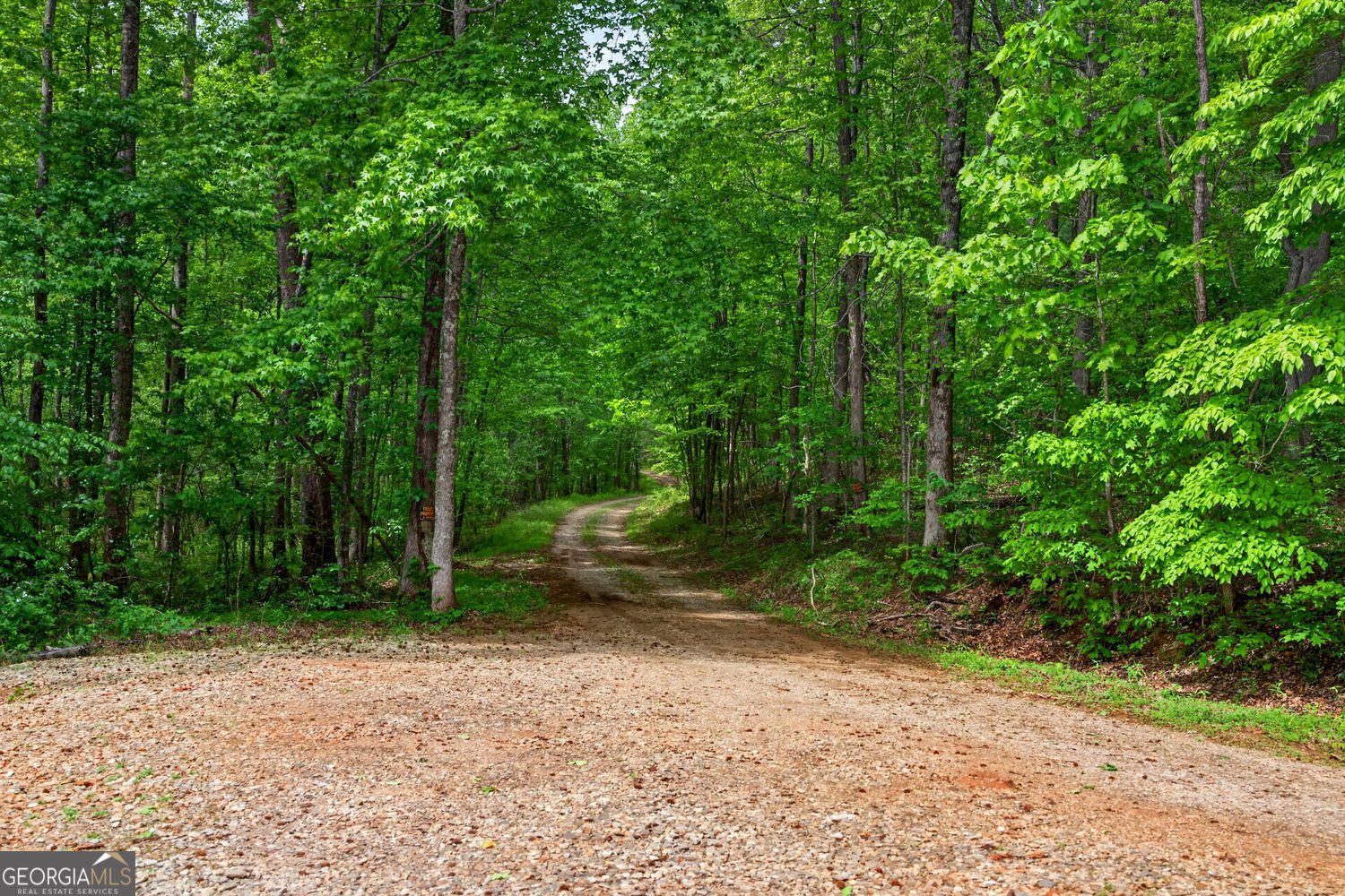 1 Thurmond Walker Road Dahlonega - Photo 36