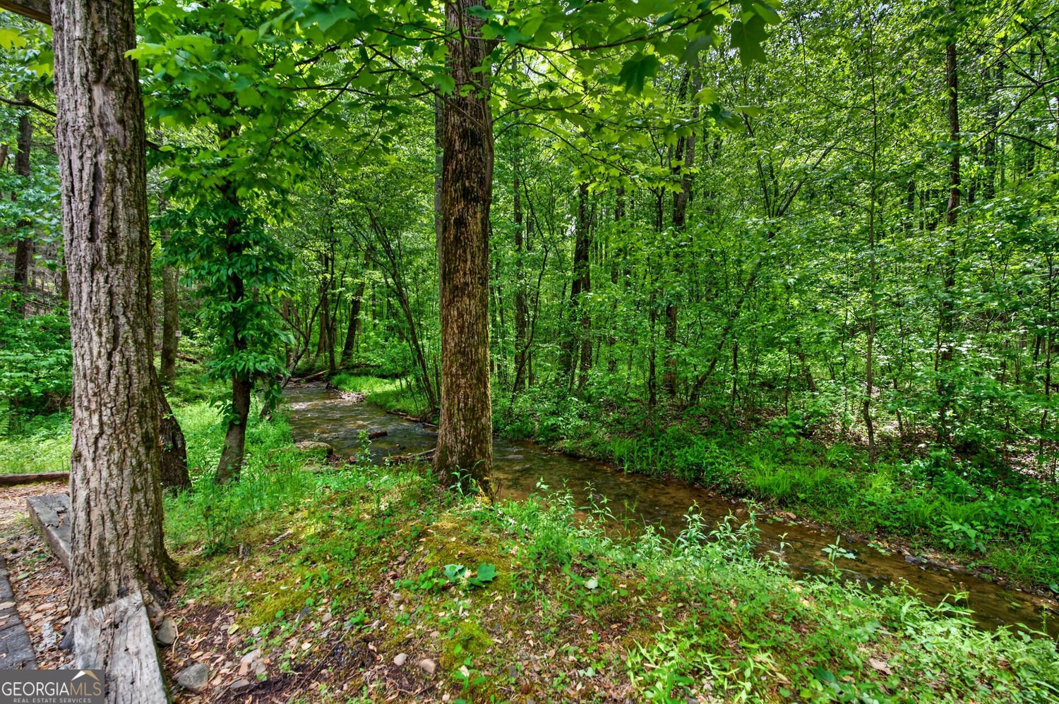 1 Thurmond Walker Road Dahlonega - Photo 44