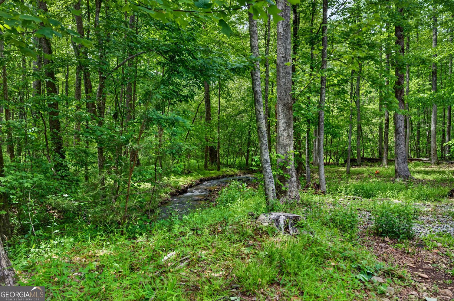 1 Thurmond Walker Road Dahlonega - Photo 9
