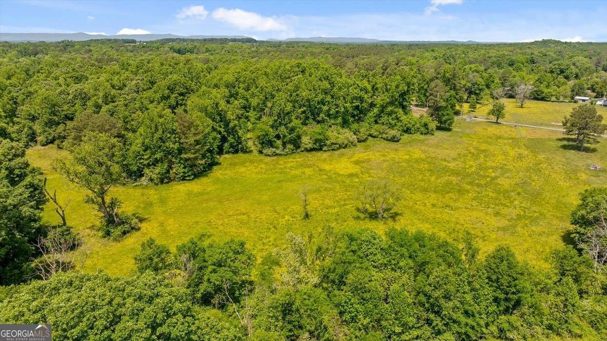 446 Brown Bridge Road Chatsworth - Photo 10