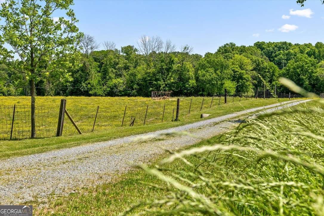 446 Brown Bridge Road Chatsworth - Photo 12