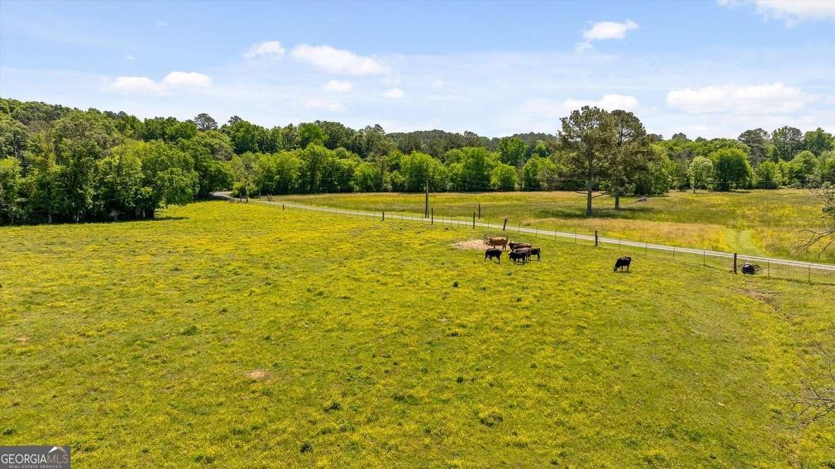 446 Brown Bridge Road Chatsworth - Photo 14