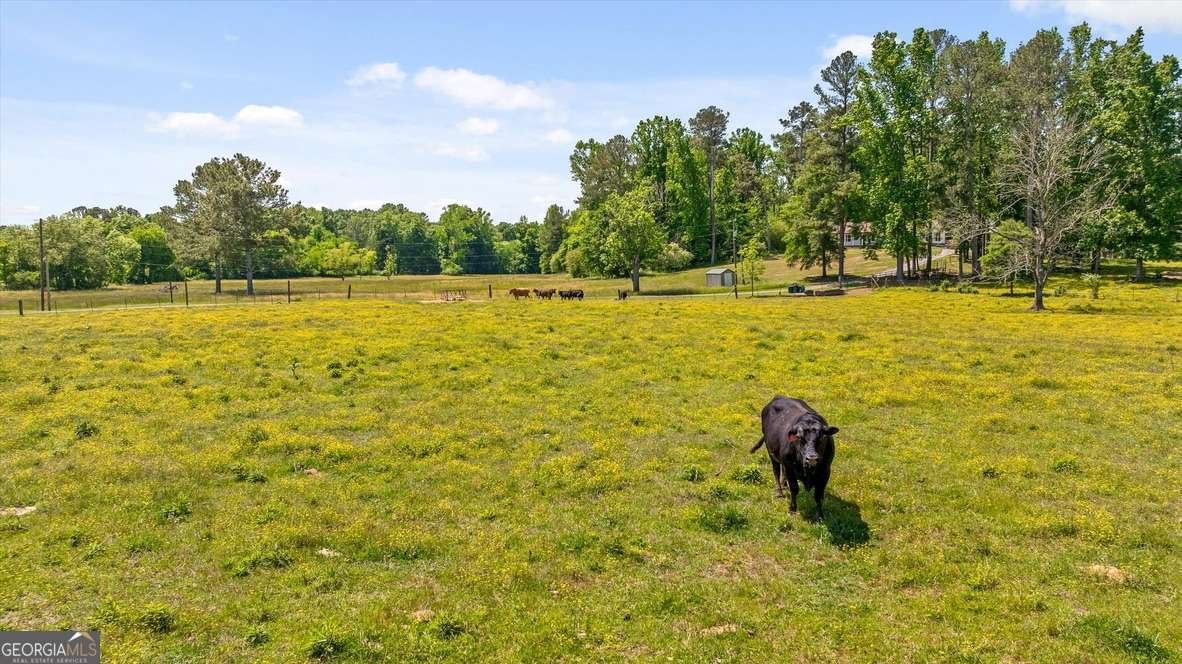 446 Brown Bridge Road Chatsworth - Photo 15