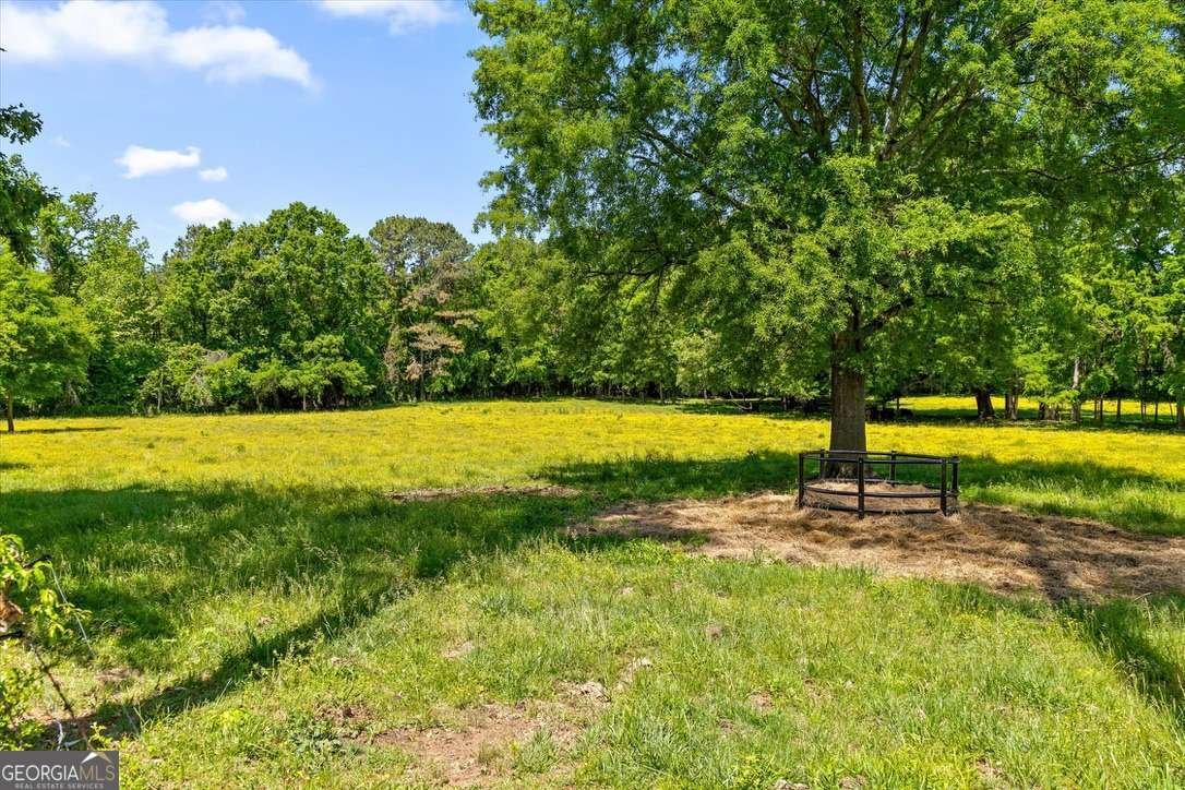 446 Brown Bridge Road Chatsworth - Photo 17