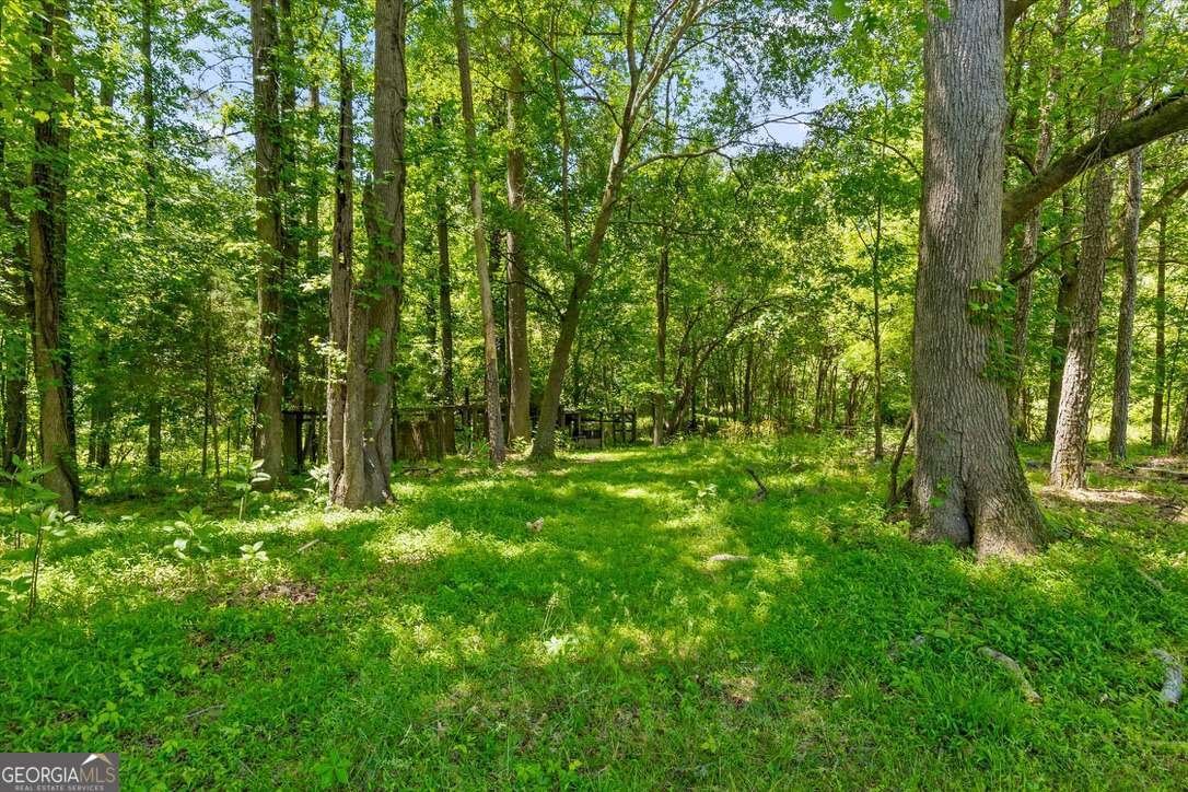 446 Brown Bridge Road Chatsworth - Photo 20