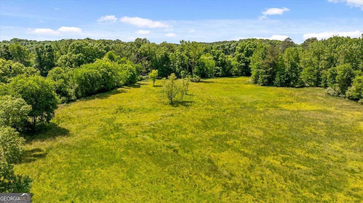 446 Brown Bridge Road Chatsworth - Photo 7