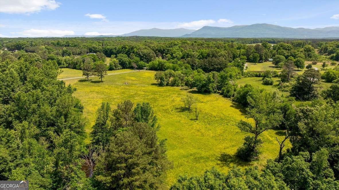 446 Brown Bridge Road Chatsworth - Photo 9