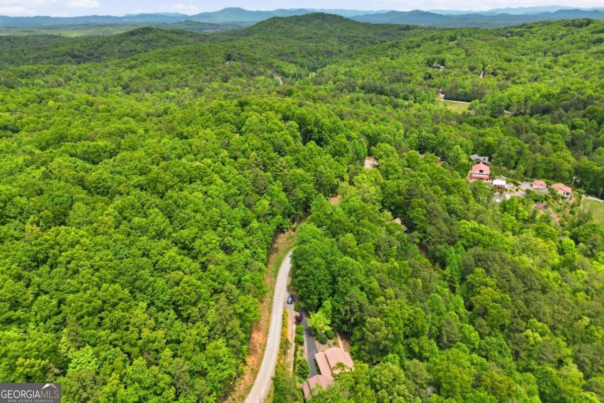 946 Laurel Circle Blue Ridge - Photo 46