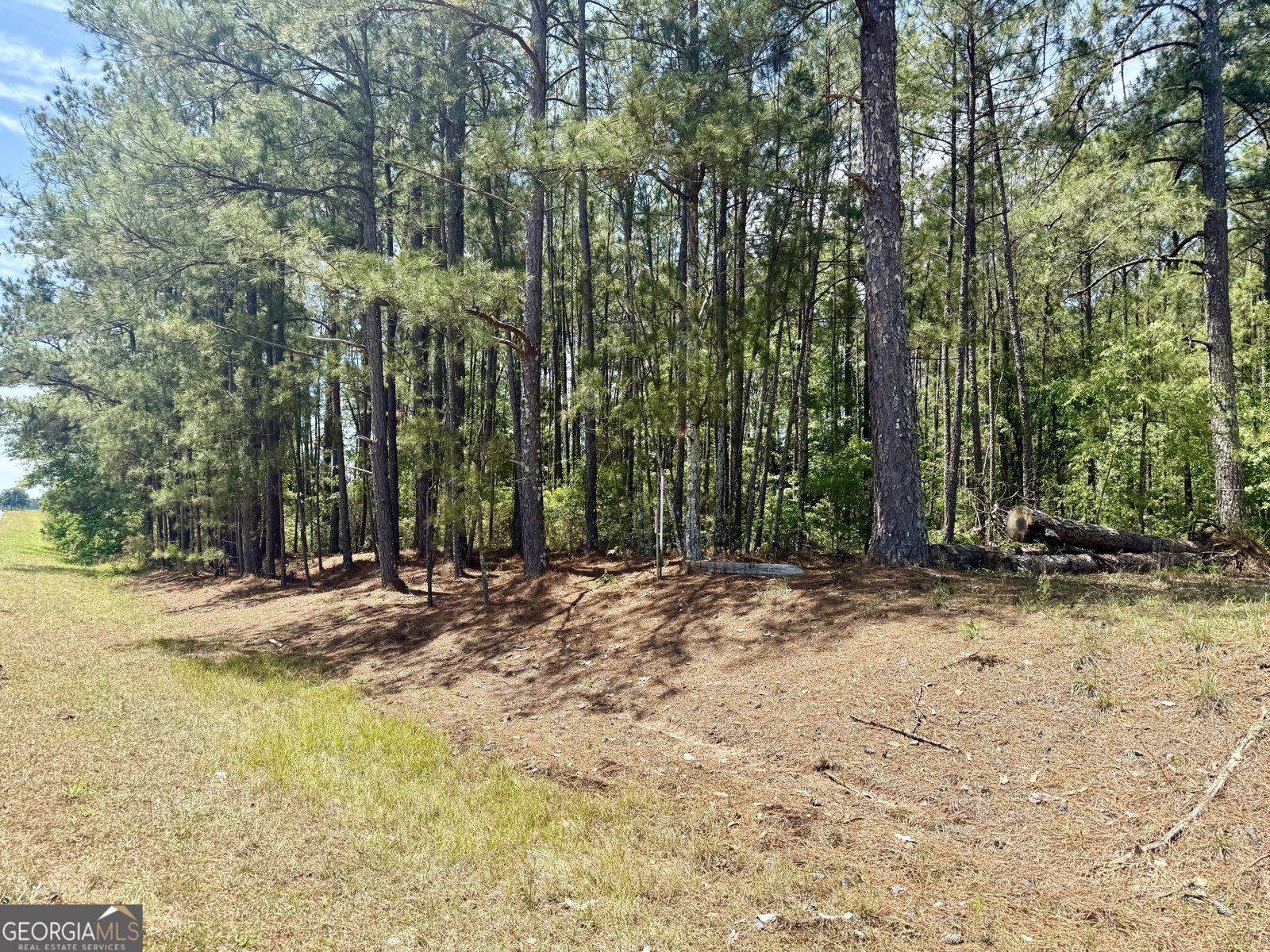 1983 Minton Chapel Road Bartow - Photo 20