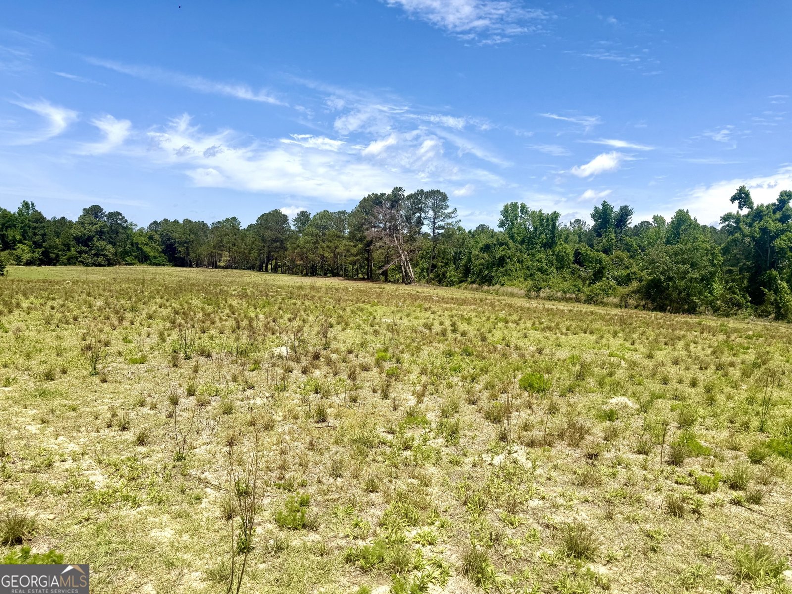 1983 Minton Chapel Road Bartow - Photo 25