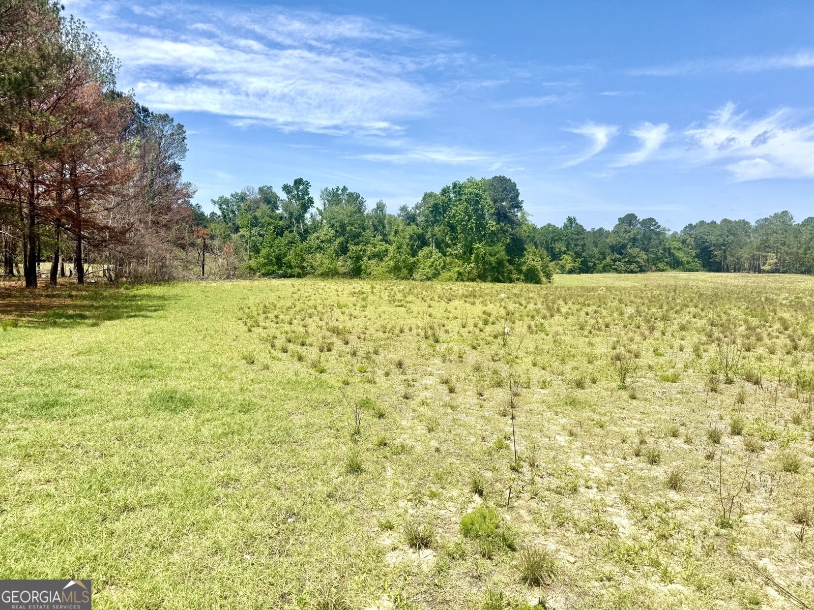 1983 Minton Chapel Road Bartow - Photo 26