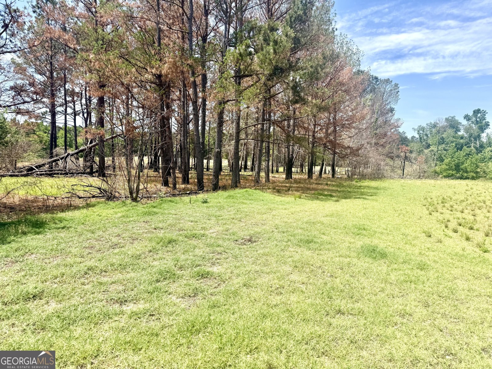 1983 Minton Chapel Road Bartow - Photo 27