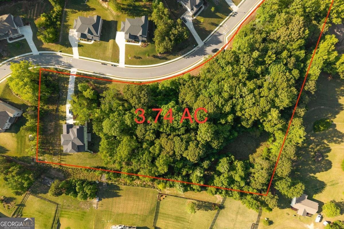 3849 Amicus Drive Buford - Photo 59