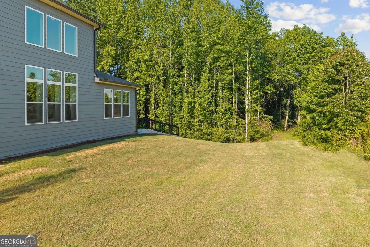 3849 Amicus Drive Buford - Photo 60