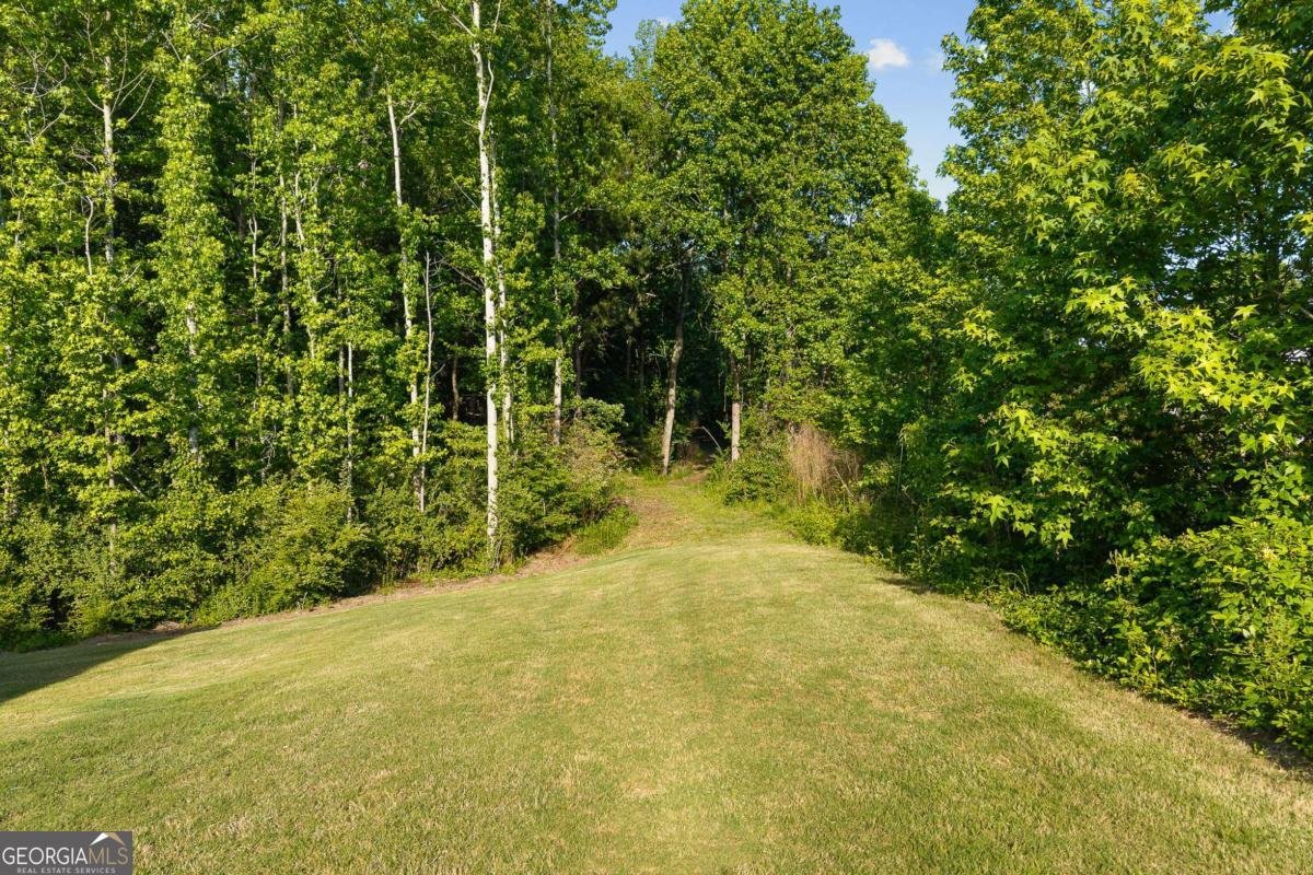 3849 Amicus Drive Buford - Photo 61