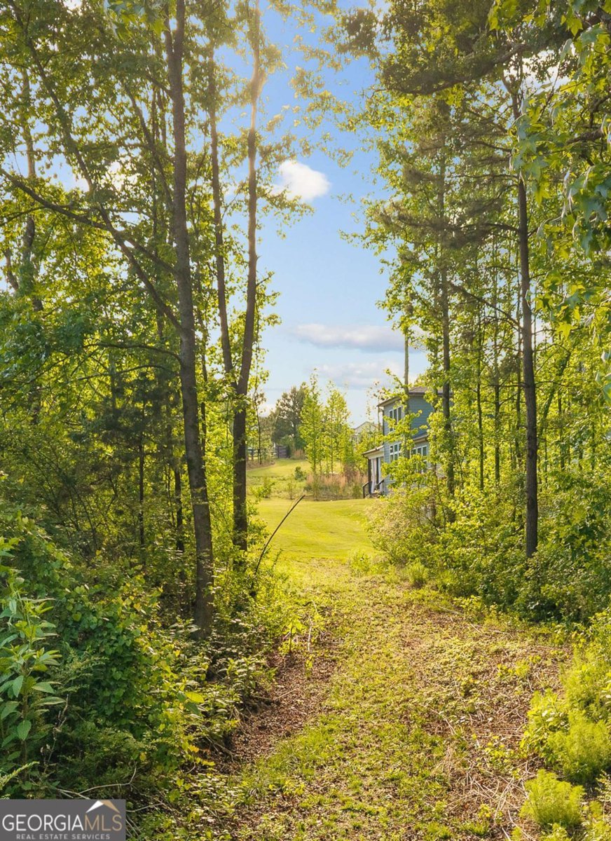 3849 Amicus Drive Buford - Photo 65