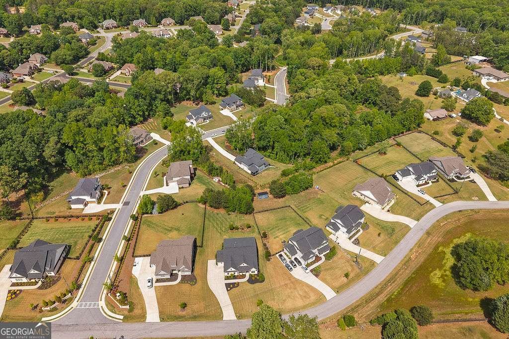3849 Amicus Drive Buford - Photo 67