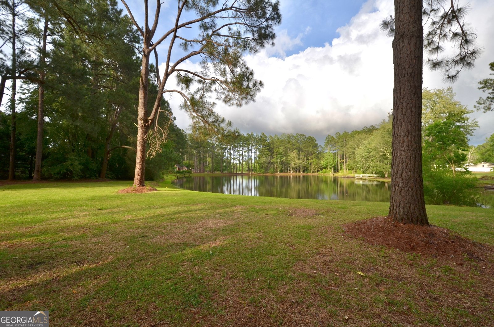 41 Pine Lane Drive Eastman - Photo 11