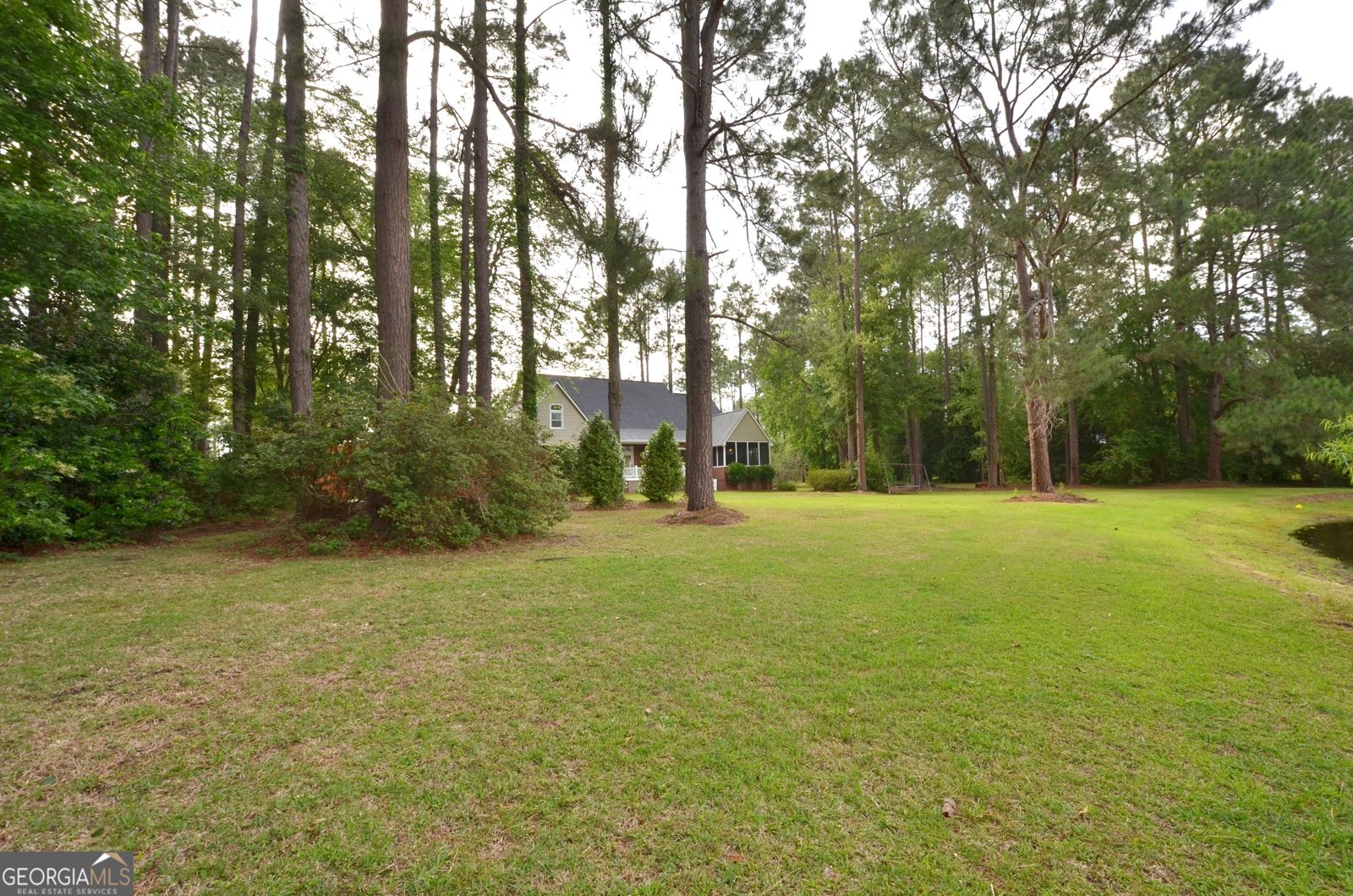 41 Pine Lane Drive Eastman - Photo 12