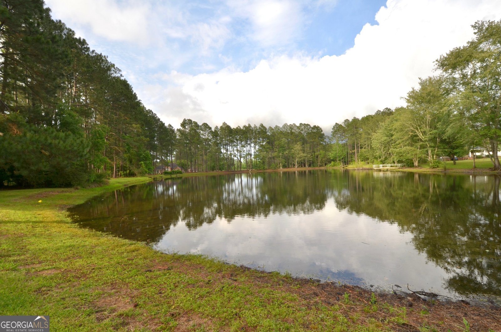 41 Pine Lane Drive Eastman - Photo 13