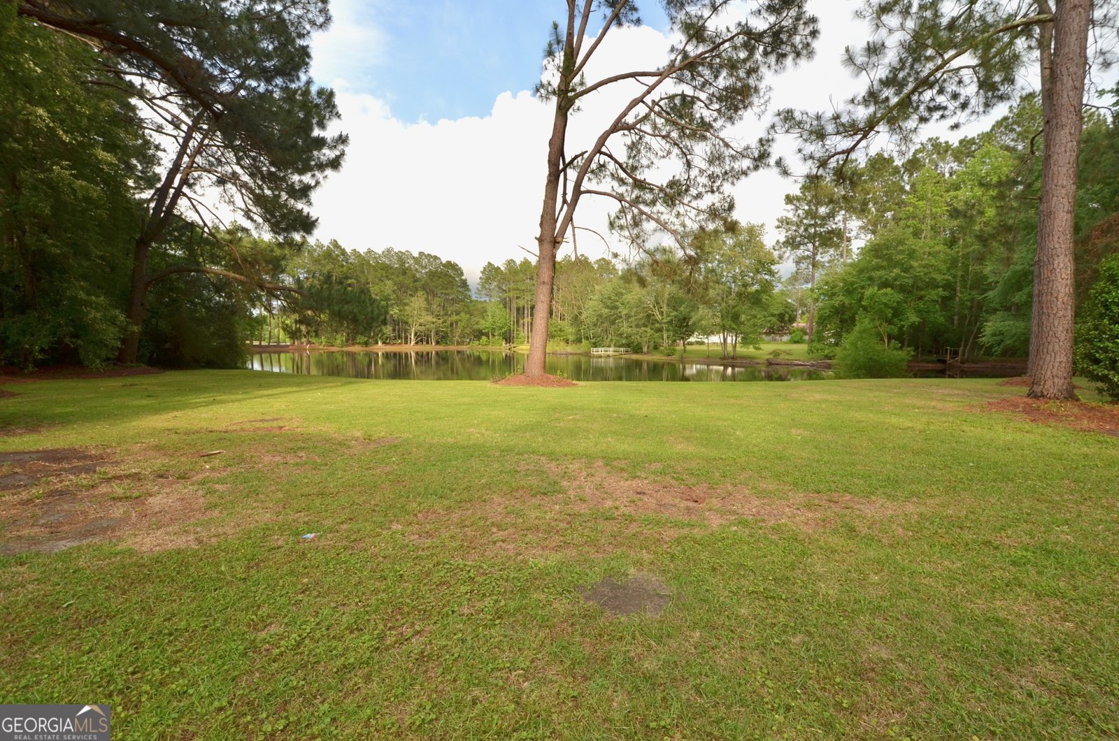 41 Pine Lane Drive Eastman - Photo 14