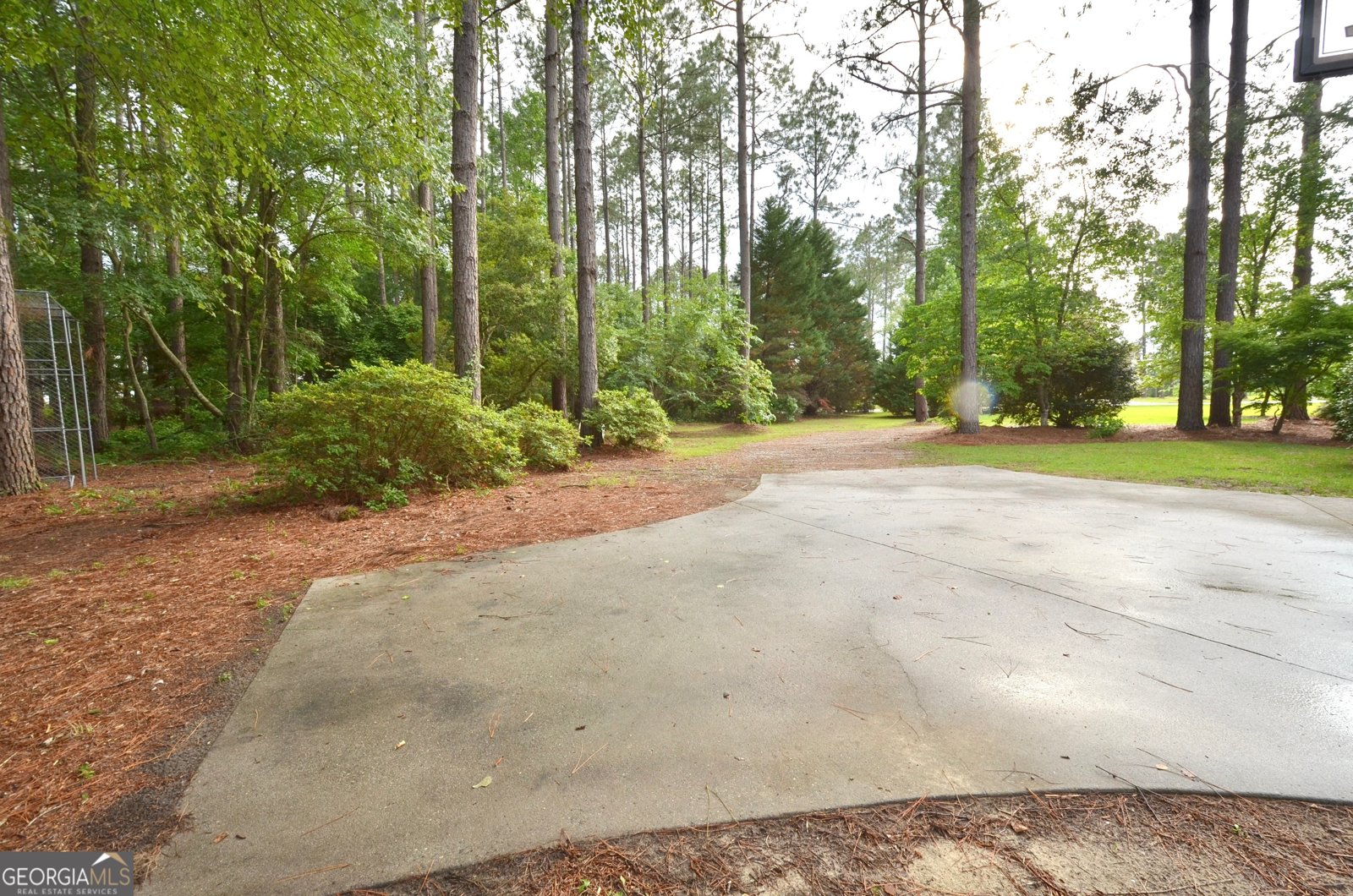 41 Pine Lane Drive Eastman - Photo 15