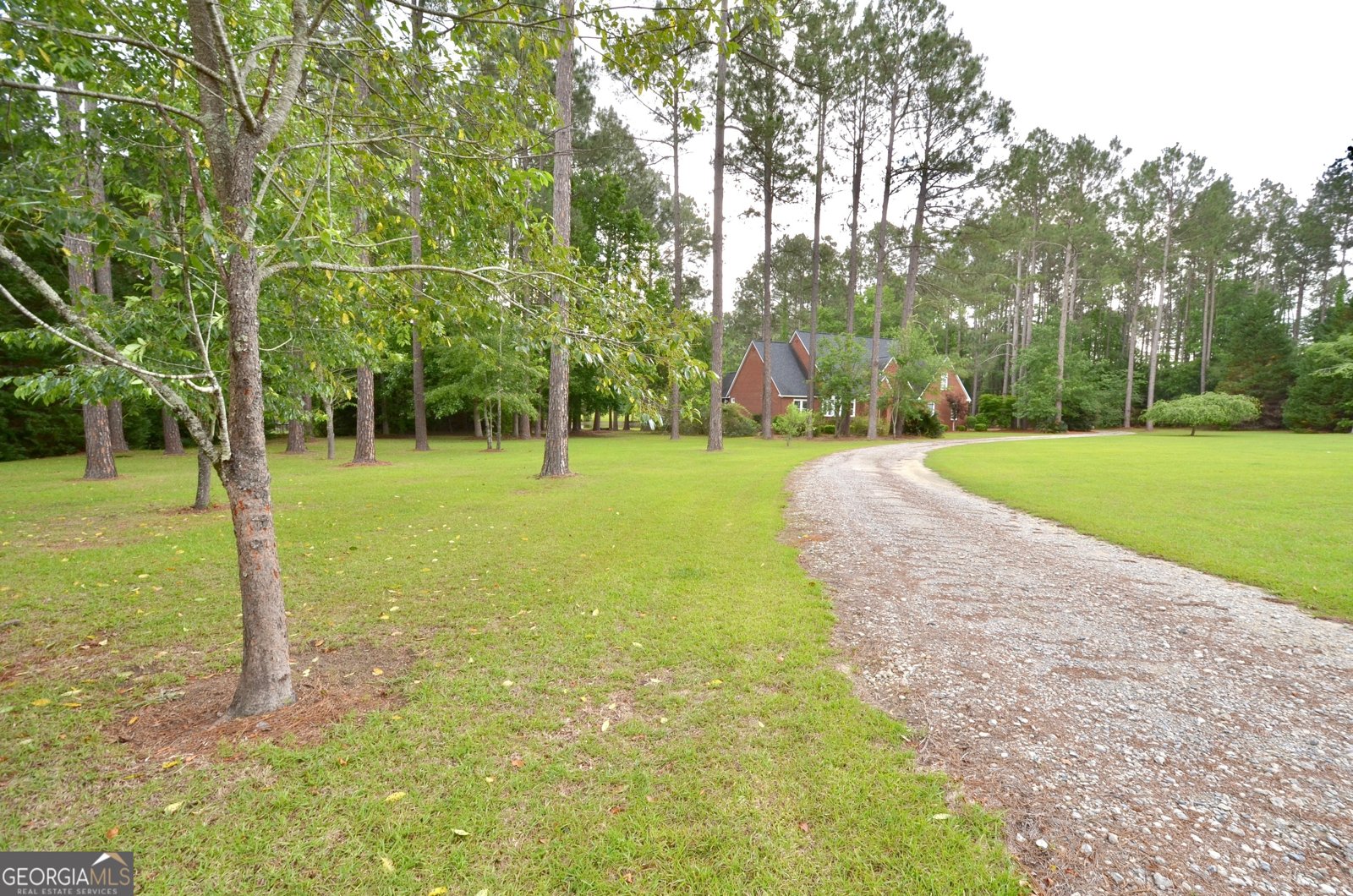 41 Pine Lane Drive Eastman - Photo 17