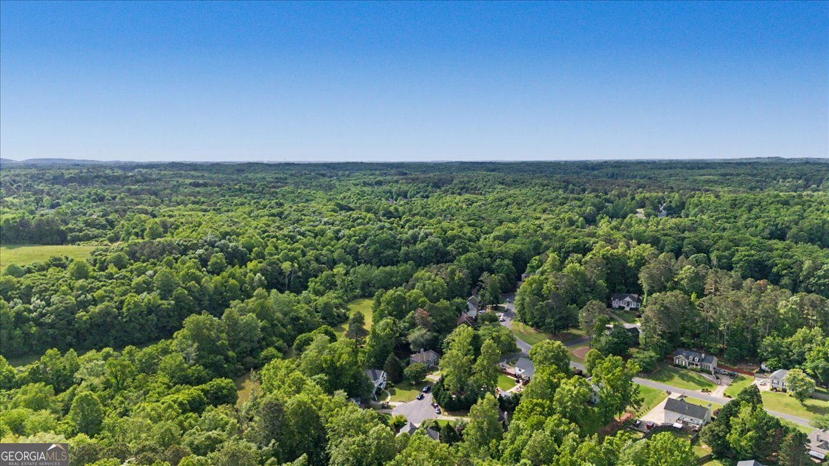 409 Windsor Way Canton - Photo 44