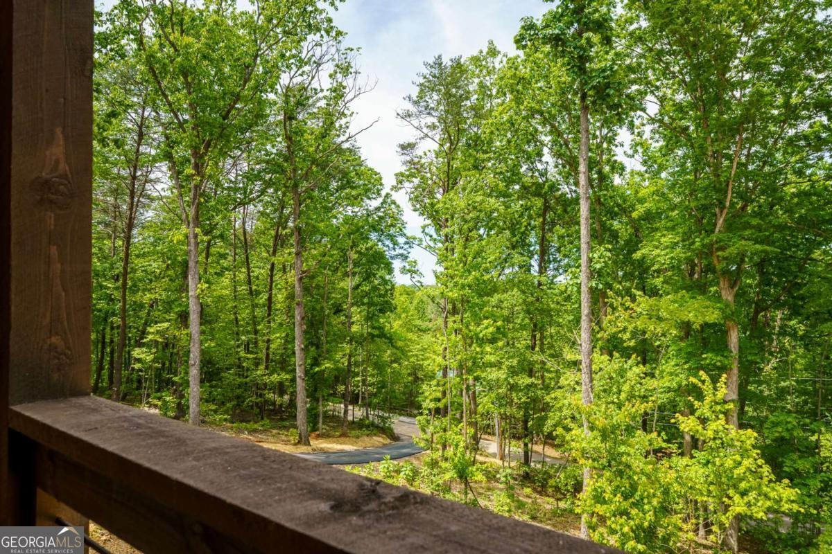 148 Virginia Drive Blue Ridge - Photo 14