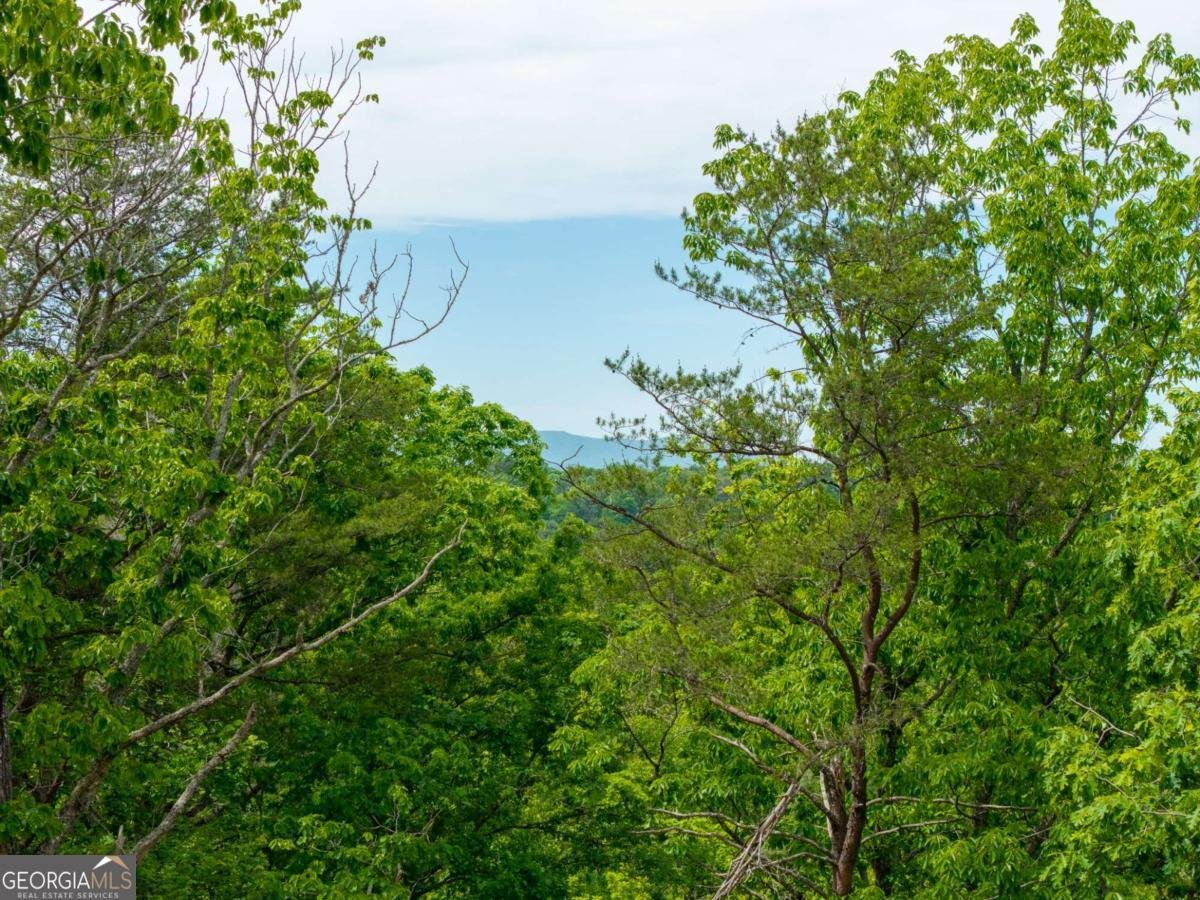 148 Virginia Drive Blue Ridge - Photo 47