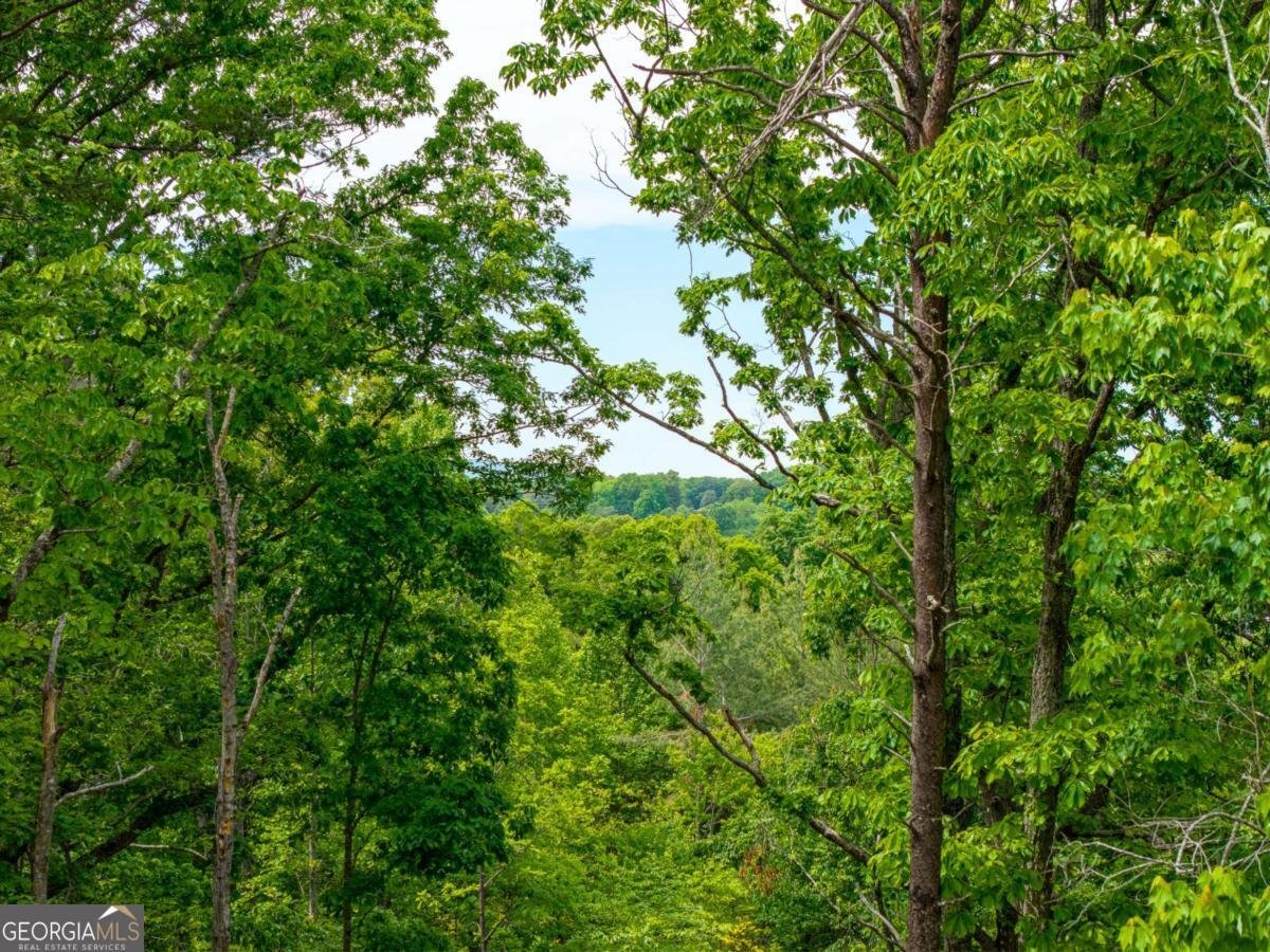 148 Virginia Drive Blue Ridge - Photo 48