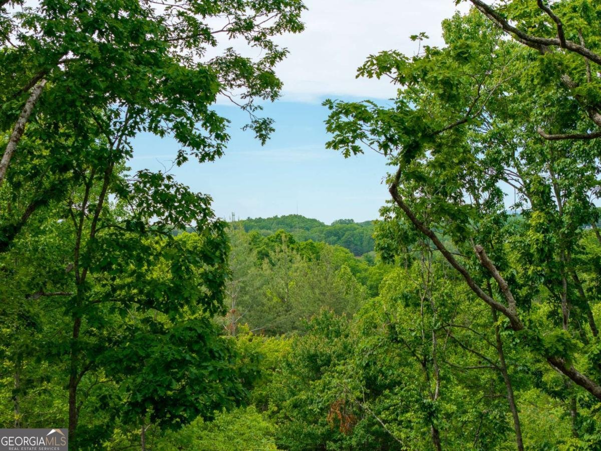 148 Virginia Drive Blue Ridge - Photo 49