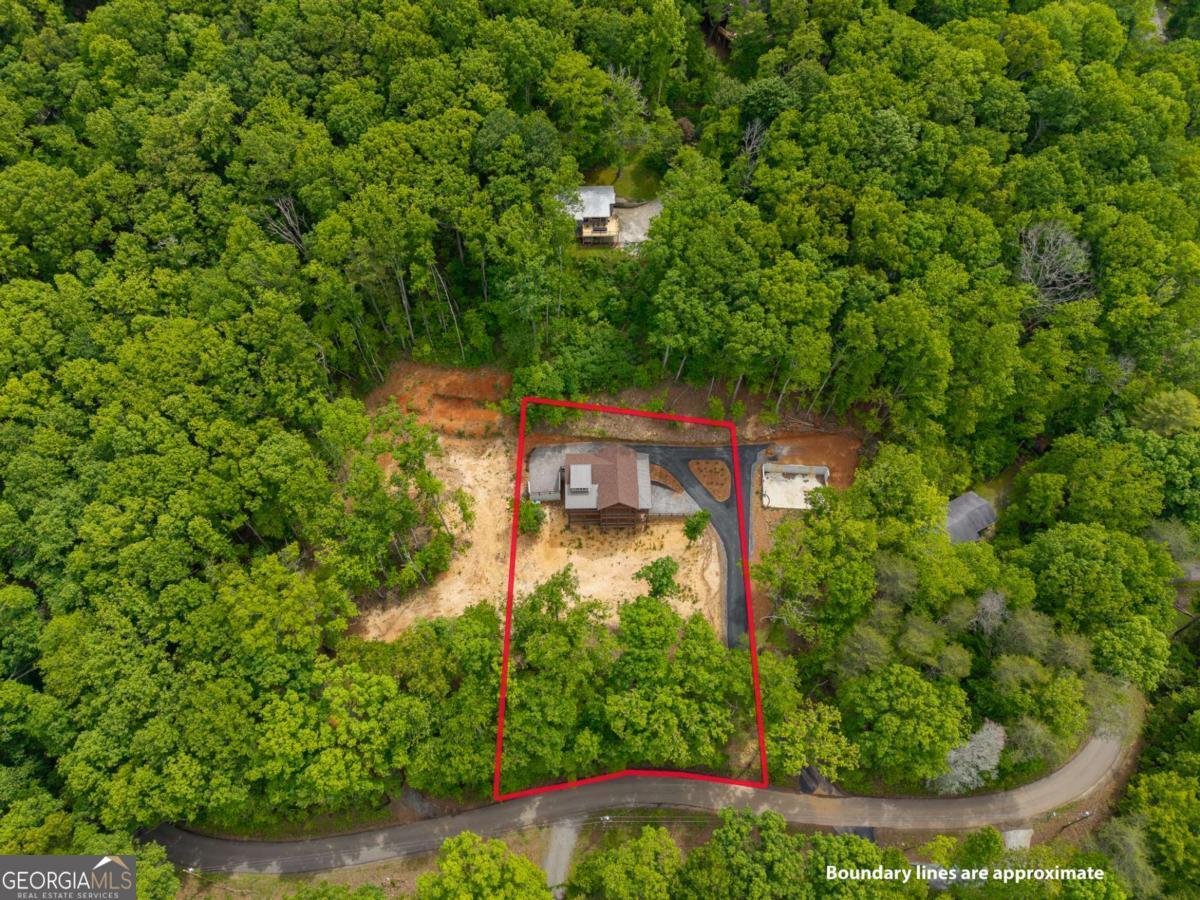 148 Virginia Drive Blue Ridge - Photo 50
